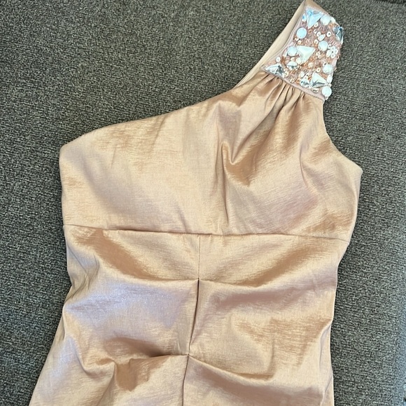 Cache blush pink champagne beaded one shoulder ruched mini dress size 2 - Picture 10 of 10